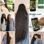 Sanvi Adivasi Hakki Pikki Neelambari Herbal Hair Oil (500ml)