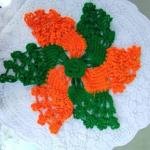 Woolen Thali Cover (Pack of 2)