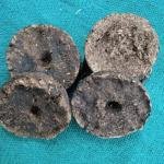 Deshi gay ke uple(pack of 10)