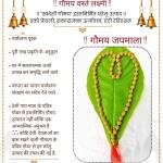 Eco-Friendly Cow Dung Rudraksha Mala | Rudraksh Mala ( 108 Moti)
