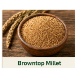 Browntop Millet – Healthy And Organic Choice 🌾(1kg)
