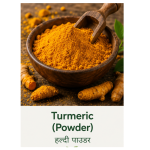 Organic Turmeric Powder (Haldi Powder) (1kg)