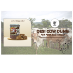 Aushdha Natural Cow Dung Kande | Uple for Havan And Puja And Eco-Friendly Handmade Gobar Cakes (6 pieces)